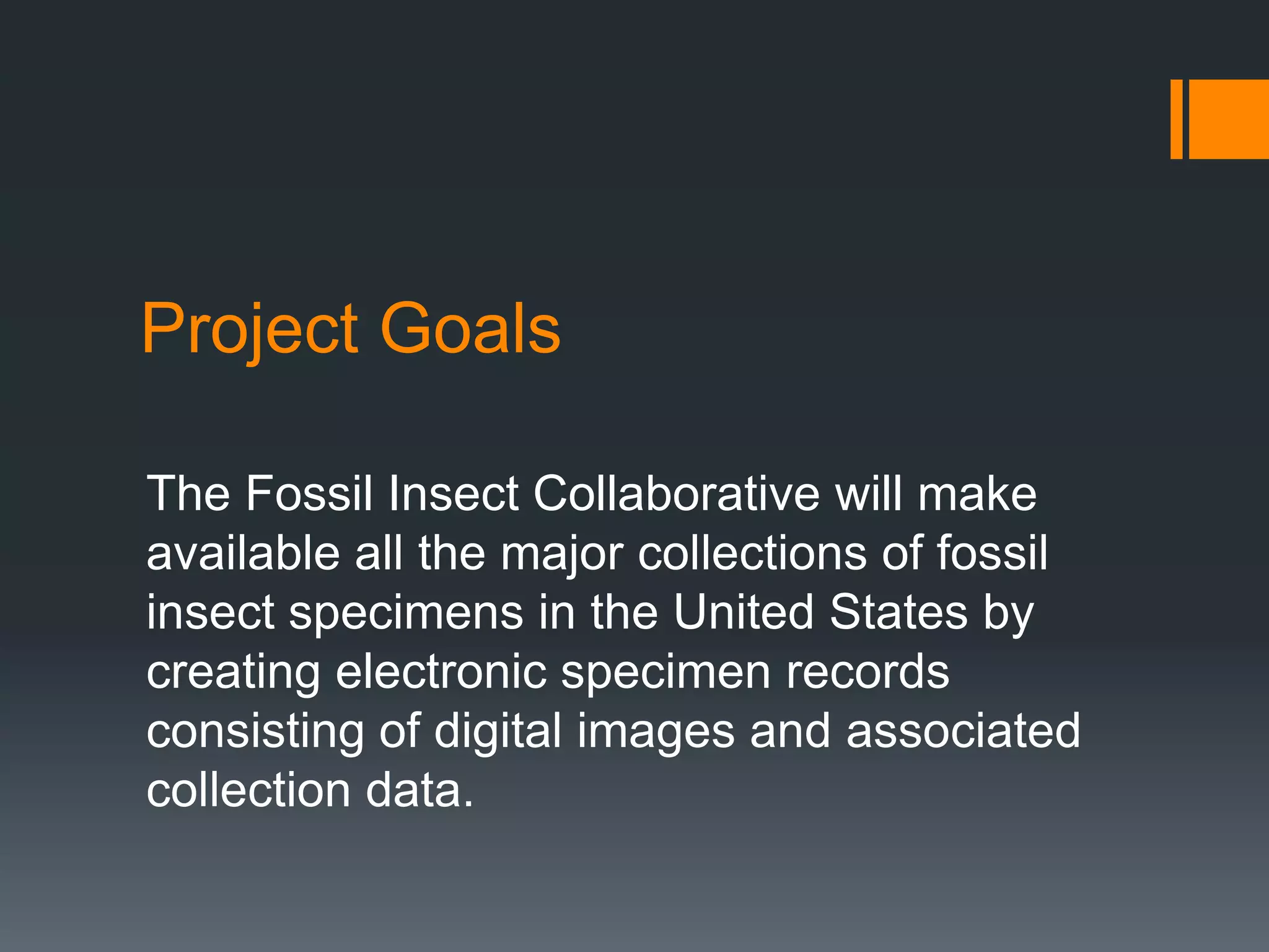 Project Goals
The Fossil Insect Collaborative will make
available all the major collections of fossil
insect specimens in the United States by
creating electronic specimen records
consisting of digital images and associated
collection data.

 