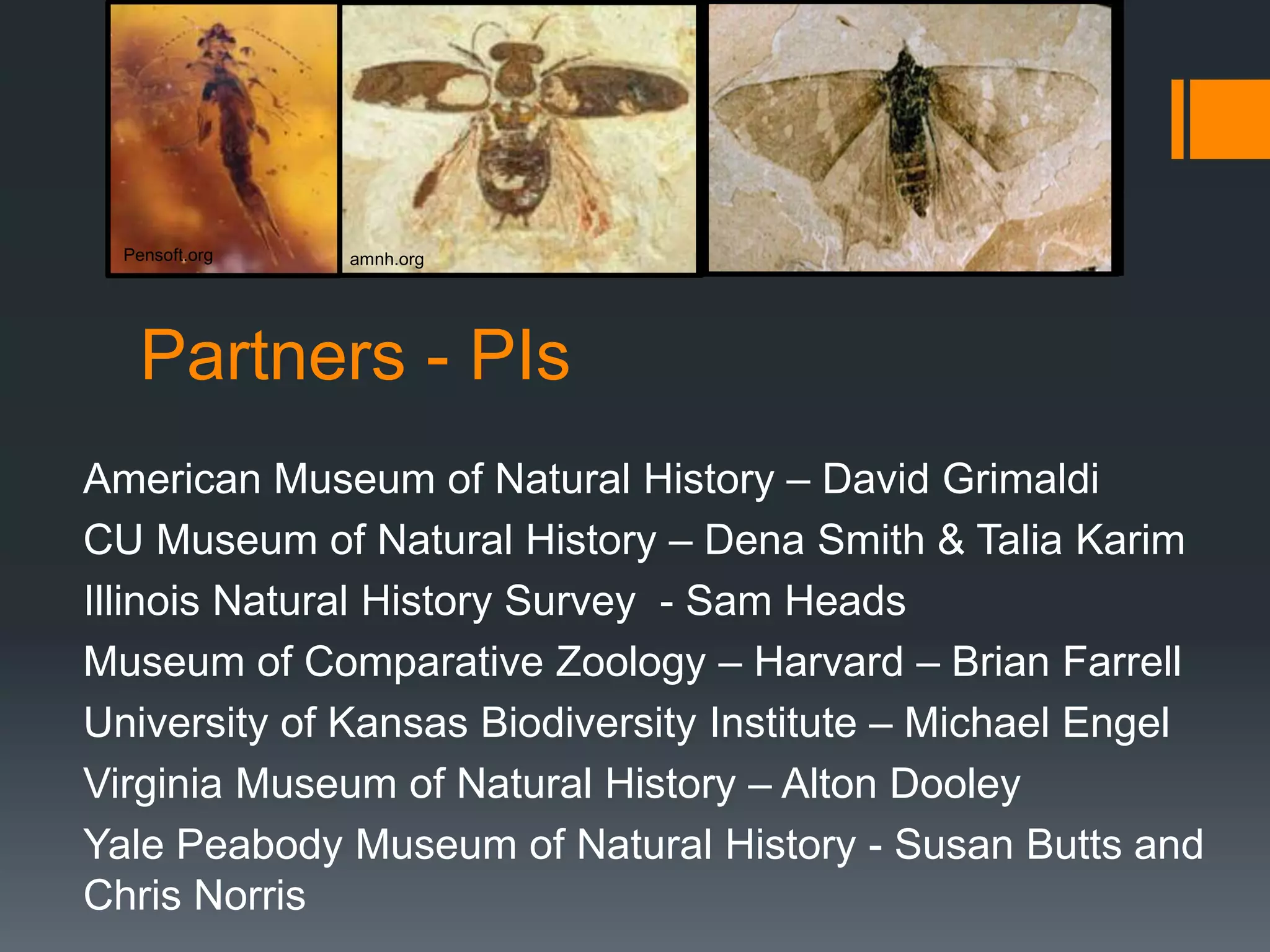 Pensoft.org

amnh.org

Partners - PIs
American Museum of Natural History – David Grimaldi
CU Museum of Natural History – Dena Smith & Talia Karim
Illinois Natural History Survey - Sam Heads
Museum of Comparative Zoology – Harvard – Brian Farrell
University of Kansas Biodiversity Institute – Michael Engel
Virginia Museum of Natural History – Alton Dooley
Yale Peabody Museum of Natural History - Susan Butts and
Chris Norris

 
