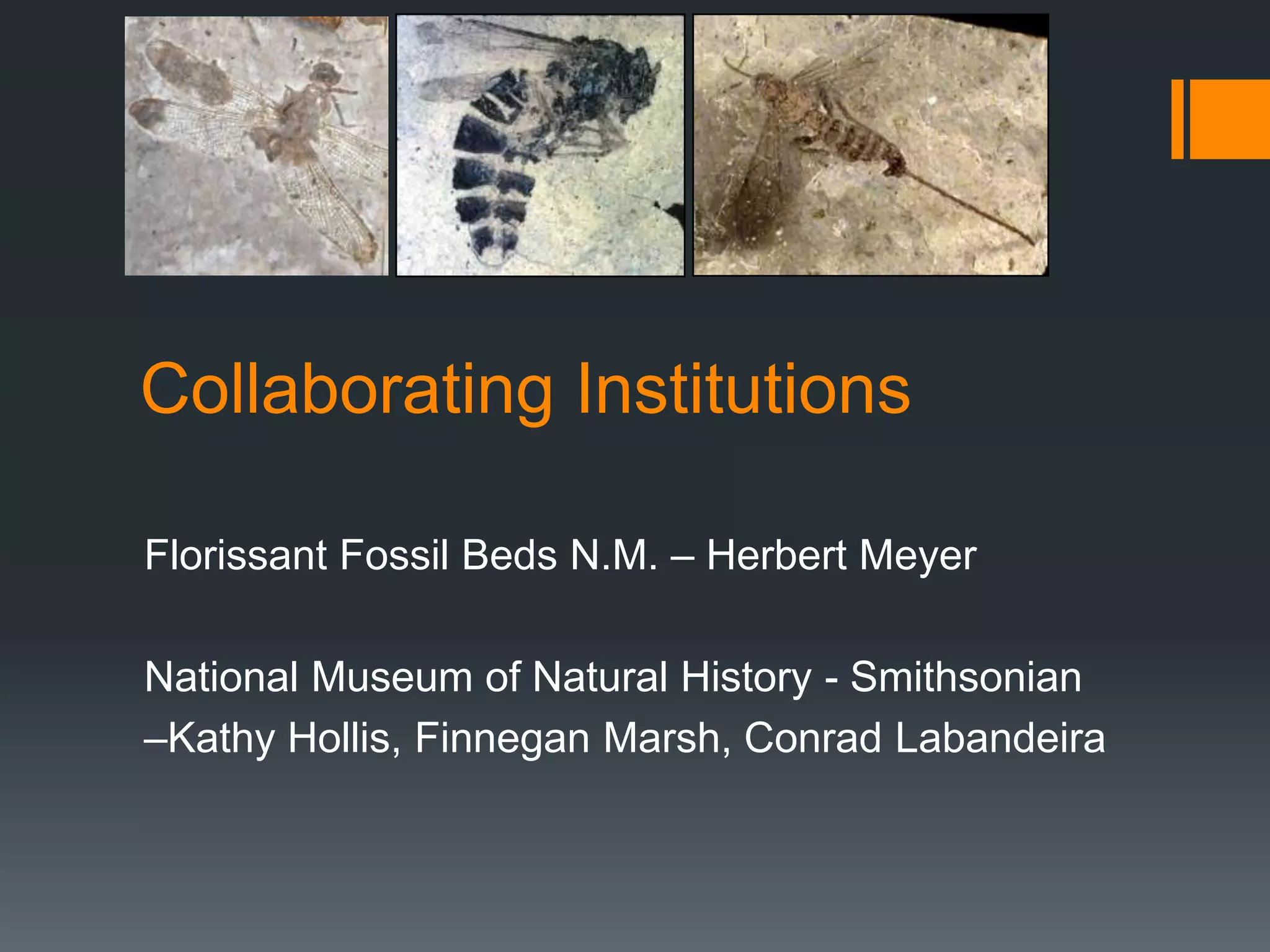 Collaborating Institutions
Florissant Fossil Beds N.M. – Herbert Meyer

National Museum of Natural History - Smithsonian
–Kathy Hollis, Finnegan Marsh, Conrad Labandeira

 