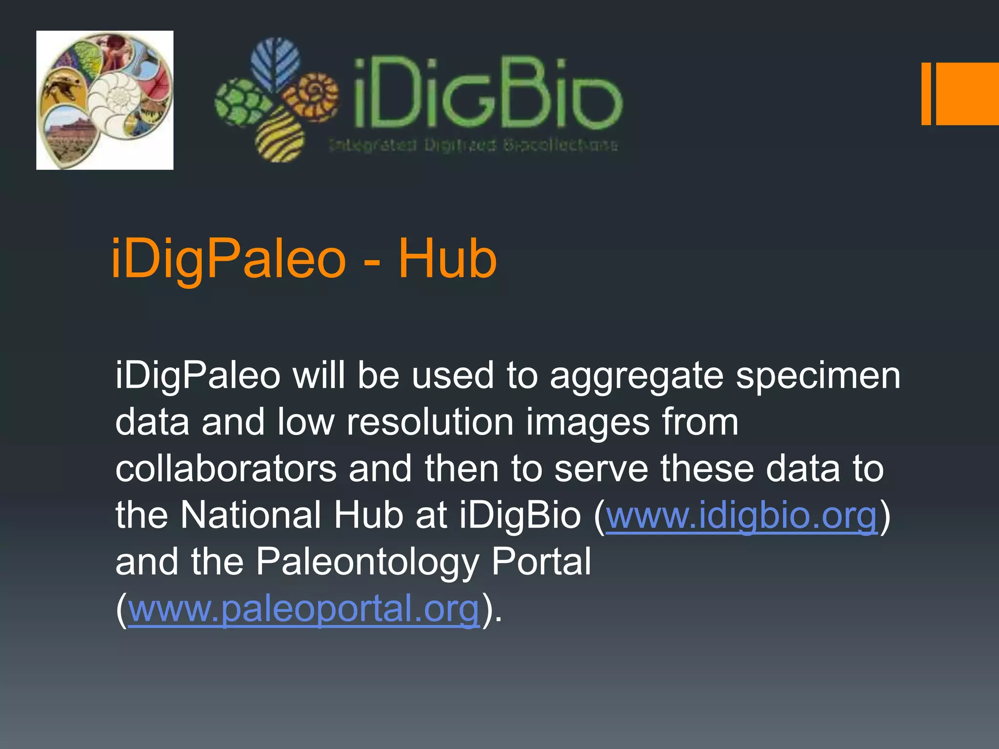iDigPaleo - Hub
iDigPaleo will be used to aggregate specimen
data and low resolution images from
collaborators and then to serve these data to
the National Hub at iDigBio (www.idigbio.org)
and the Paleontology Portal
(www.paleoportal.org).

 