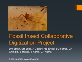 Fossil Insect Collaborative
Digitization Project
DM Smith, SH Butts, A Dooley, MS Engel, BD Farrell, DA
Grimaldi, S Heads, T Karim, CA Norris
Fossilinsects.colorado.edu

 