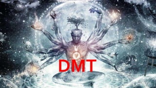 DMT
 