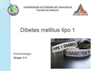 Dibetes mellitus tipo 1
Endocrinologia
Grupo: 8-5
UNIVERSIDAD AUTÓNOMA DE CHIHUAHUA
Facultad de Medicina
 