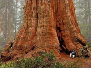 La Terra come Bellezza. Raccolta di foto dai migliori angoli del pianeta