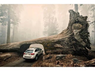 La Terra come Bellezza. Raccolta di foto dai migliori angoli del pianeta