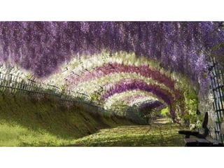 La Terra come Bellezza. Raccolta di foto dai migliori angoli del pianeta