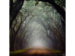 La Terra come Bellezza. Raccolta di foto dai migliori angoli del pianeta