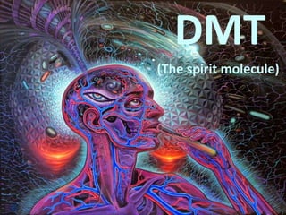 DMT
(The spirit molecule)
 