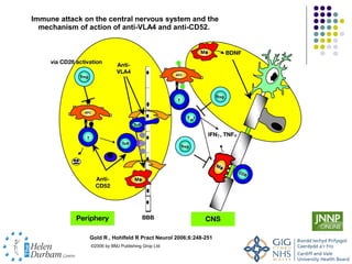 Immune attack on the central nervous system and the
  mechanism of action of anti-VLA4 and anti-CD52.




               Gold R , Hohlfeld R Pract Neurol 2006;6:248-251
                ©2006 by BMJ Publishing Grop Ltd
 