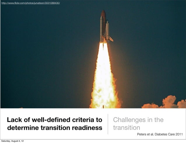 Diabetes Mellitus in the Transition Period: From Childhood to Adulthood ...