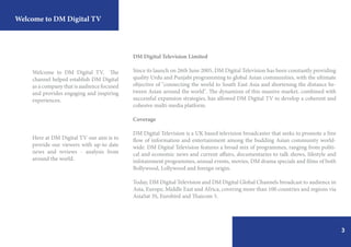 Dm Info DM Digital TV corporate brochure | PDF