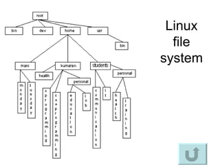 Linux file system 