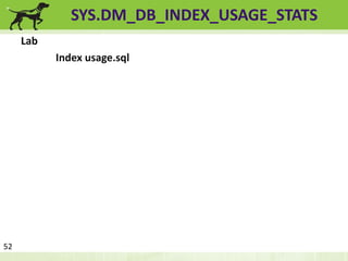 SYS.DM_DB_INDEX_USAGE_STATS 
Lab 
Index usage.sql 
52 
 