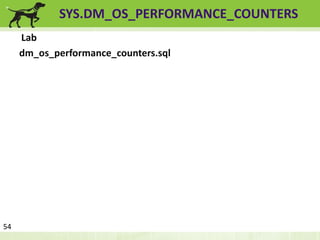 SYS.DM_OS_PERFORMANCE_COUNTERS 
Lab 
dm_os_performance_counters.sql 
54 
 