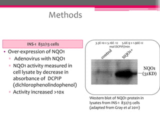 Methods
INS-1 832/13 cells

• Over-expression of NQO1
▫ Adenovirus with NQO1
▫ NQO1 activity measured in
cell lysate by decrease in
absorbance of DCPIP
(dichlorophenolindophenol)
▫ Activity increased >10x

3.3E-10 ± 5.16E -12 5.6E-9 ± 1.96E-12
mol DCPIP//min

NQO1
(31KD)

Western blot of NQO1 protein in
lysates from INS-1 832/13 cells
(adapted from Gray et al 2011)

 