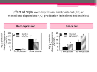 Effect of NQO1 over-expression and knock-out (KO) on
menadione-dependent H2O2 production in isolated rodent islets
Over-expression

Knock-out

 