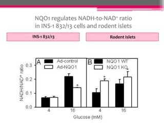NQO1 regulates NADH-to-NAD+ ratio
in INS-1 832/13 cells and rodent islets
INS-1 832/13

Rodent Islets

 