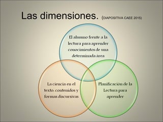 Las dimensiones. (DIAPOSITIVA CAEE 2015)
 