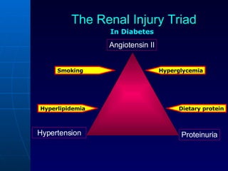 The Renal Injury Triad Angiotensin II Proteinuria Hypertension In Diabetes Smoking Hyperlipidemia Hyperglycemia Dietary protein 