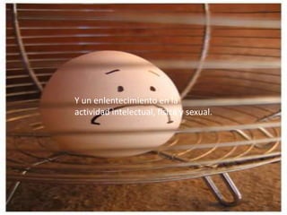 Y un enlentecimiento en la actividad intelectual, física y sexual. 