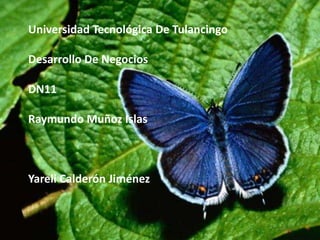 Universidad Tecnológica De Tulancingo Desarrollo De NegociosDN11Raymundo Muñoz Islas Yareli Calderón Jiménez