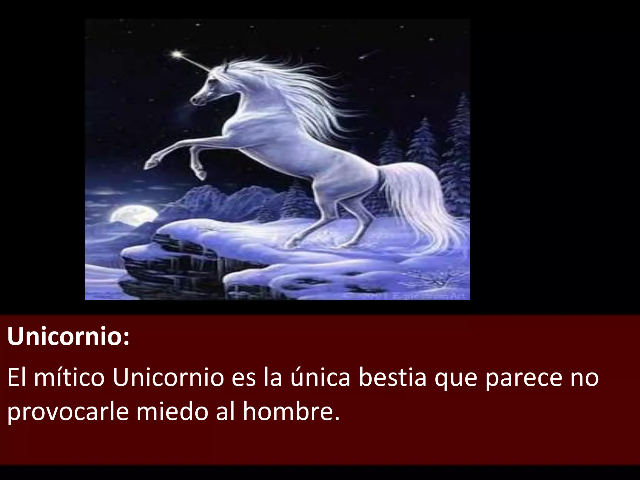 Unicornio:El mítico Unicornio es la única bestia que parece no provocarle miedo al hombre.