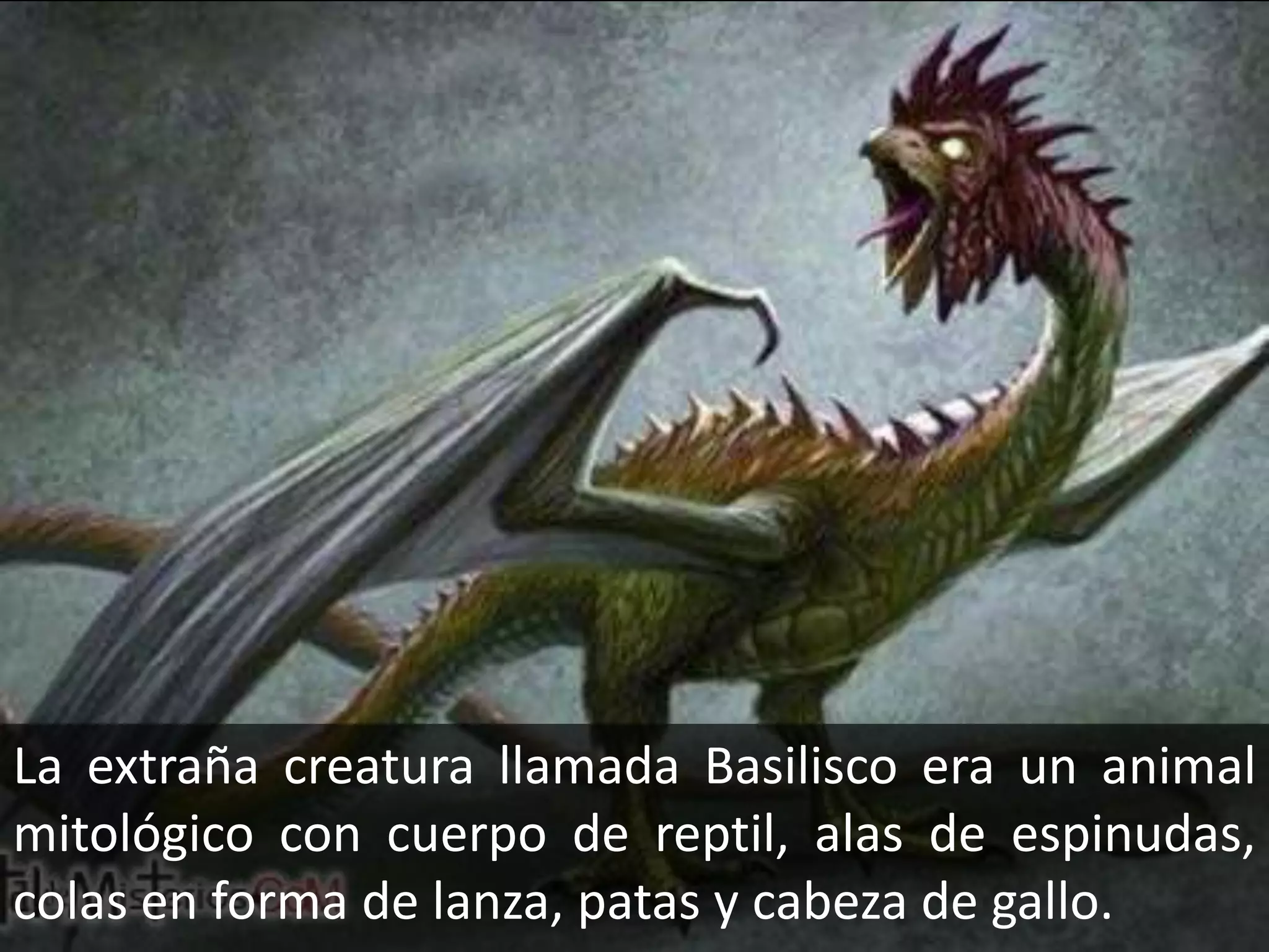 La extraña creatura llamada Basilisco era un animal mitológico con cuerpo de reptil, alas de espinudas, colas en forma de lanza, patas y cabeza de gallo.