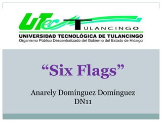 “Six Flags”
Anarely Domínguez Domínguez
           DN11
 