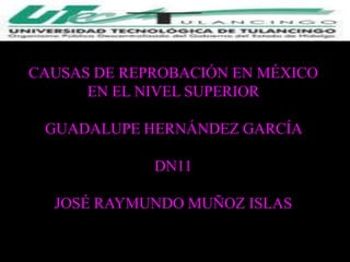 CAUSAS DE REPROBACIÓN EN MÉXICO
      EN EL NIVEL SUPERIOR

 GUADALUPE HERNÁNDEZ GARCÍA

             DN11

  JOSÉ RAYMUNDO MUÑOZ ISLAS
 