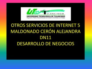 OTROS SERVICIOS DE INTERNET 5MALDONADO CERÓN ALEJANDRA DN11DESARROLLO DE NEGOCIOS  