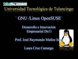 Universidad Tecnológica de Tulancingo

       GNU /Linux OpenSUSE
         Desarrollo e Innovación
           Empresarial Dn11

     Prof. José Raymundo Muñoz Islas

           Laura Cruz Camargo
 