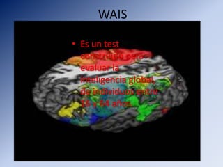 WAIS
• Es un test
construido para
evaluar la
inteligencia global,
de individuos entre
16 y 64 años.