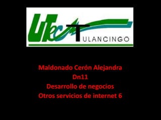 Maldonado Cerón Alejandra  Dn11 Desarrollo de negocios Otros servicios de internet 6  