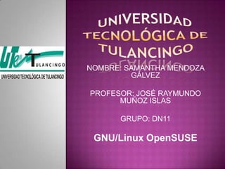 NOMBRE: SAMANTHA MENDOZA
         GÁLVEZ

PROFESOR: JOSÉ RAYMUNDO
      MUÑOZ ISLAS

      GRUPO: DN11

 GNU/Linux OpenSUSE
 