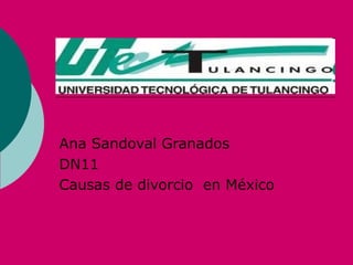 Ana Sandoval Granados  DN11  Causas de divorcio  en México  