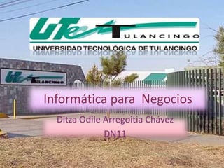 Informática para Negocios
  Ditza Odile Arregoitia Chávez
              DN11
 