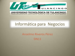 Informática para Negocios

   Anselmo Riveros Pérez
          DN11
 