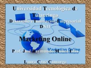 Universidad Tecnológica de
         Tulancingo
Desarrollo e Innovación Empresarial
                DN11

    Marketing Online
 Prof. José Raymundo Muñoz Islas

       Laura Cruz Camargo
 