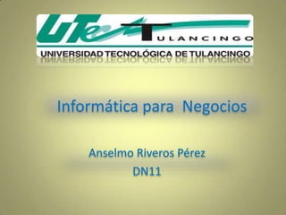 Informática para Negocios

    Anselmo Riveros Pérez
           DN11
 