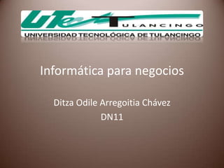 Informática para negocios

  Ditza Odile Arregoitia Chávez
              DN11
 