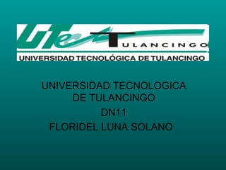 UNIVERSIDAD TECNOLOGICA DE TULANCINGO DN11 FLORIDEL LUNA SOLANO  