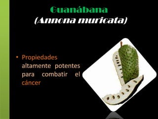 Guanábana
     (Annona muricata)


• Propiedades
  altamente potentes
  para combatir el
  cáncer
 