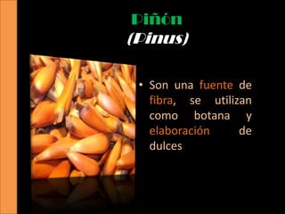 Piñón
(Pinus)

 • Son una fuente de
   fibra, se utilizan
   como botana y
   elaboración     de
   dulces
 