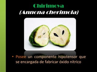 Chirimoya
   (Annona cherimola)




• Posee un componente hipotensor que
  se encargada de fabricar óxido nítrico
 