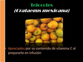 Tejocotes
     (Crataegus mexicana)




• Apreciados por su contenido de vitamina C al
  prepararlo en infusión
 
