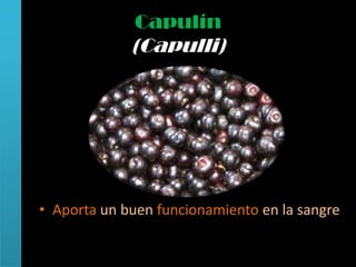 Capulín
             (Capulli)




• Aporta un buen funcionamiento en la sangre
 