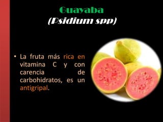 Guayaba
          (Psidium spp)


• La fruta más rica en
  vitamina C y con
  carencia          de
  carbohidratos, es un
  antigripal.
 