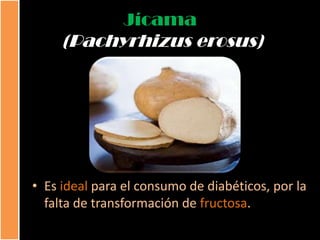 Jícama
     (Pachyrhizus erosus)




• Es ideal para el consumo de diabéticos, por la
  falta de transformación de fructosa.
 