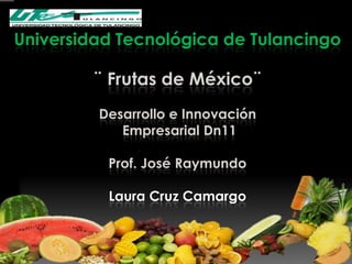 Universidad Tecnológica de Tulancingo

        ¨ Frutas de México¨
         Desarrollo e Innovación
            Empresarial Dn11

          Prof. José Raymundo

          Laura Cruz Camargo
 