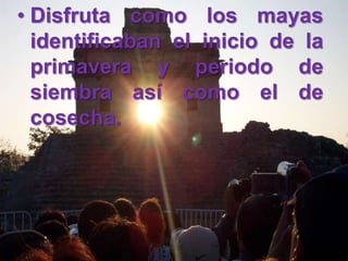 Disfruta como los mayas identificaban el inicio de la primavera y periodo de siembra así como el de cosecha.